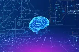 如果把人类的大脑比作存储卡，大约有多少G视频封面