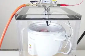 真空中能煮熟食物吗？启动真空箱后，没想到是这种结局？视频封面