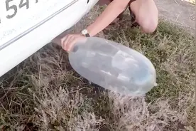 外国那些难得一见的汽车排气管，这些排气管看起来都很特别