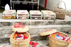 实拍广西博白男方给女方的彩礼，都给些什么，来看看视频封面