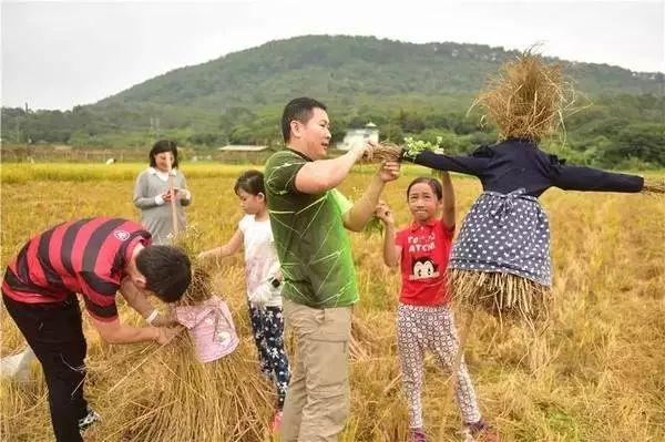 成功的共享农业需要什么条件?复制能力、规模效应(附10个案例)