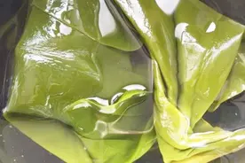 海带太硬不好煮，水里加一勺它，海带快速煮烂变软