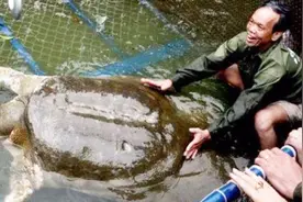 世界上最孤独的动物，全球仅余4只，2只在中国，2只在越南视频封面