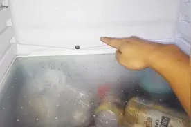 冰箱里藏着个机关，倒杯水进去，冰箱永不结冰，一年省下不少电费视频封面