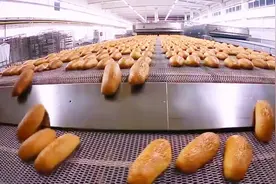 全机械化操作，大批量出炉，实拍外国震撼的全自动面包生产流水线视频封面