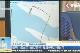 崇明——受台风“安比”影响 轮渡停航大桥封闭视频封面