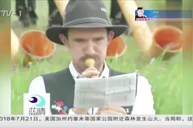 阿尔卑斯号角音乐节吹响瑞士视频封面