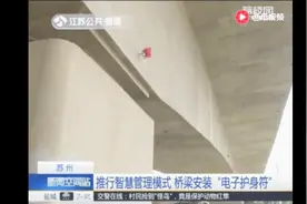 苏州推行智慧管理模式 桥梁安装“电子护身符”视频封面