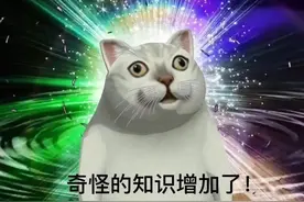 警惕！这些骗人的“赌命交易”，希望永远不要发生在你身上图片