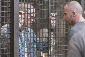 为什么所有的犯人进监狱后，都要剃光头？看完解开多年疑惑