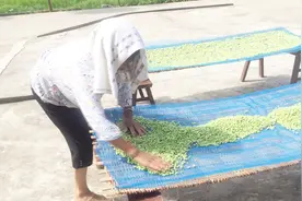 湖南正宗的干豆角，农村奶奶将多年经验告诉你，做法简单，收藏了