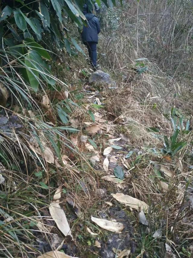 巾帼故事｜“女子尖刀班”班长皇甫鸿，扑下身子为群众不负重托干实事