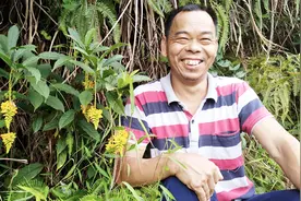 便秘，痔疮，风湿，腰酸背痛不用怕，一条树根治好，收藏备用！