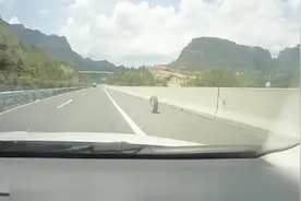 杭瑞高速：搞哪样？轮胎在高速路上狂奔 交警追了两公里终于逼停视频封面