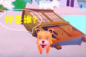 波西亚时光 58 流浪的好吃狗！