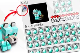 我的世界：模组插件 给狗狗穿装备，可爱篇