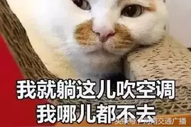 河南避暑圣地大盘点！据说平均气温只有20°！约不约？图片