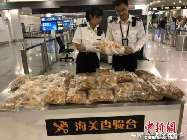 澳门买花胶能带回内地吗 2026年澳门买花胶能带回内地吗要隔离吗