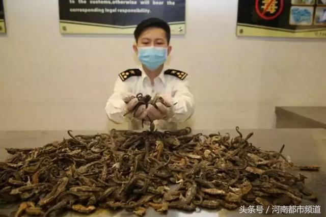 澳门买花胶能带回内地吗 2026年澳门买花胶能带回内地吗要隔离吗