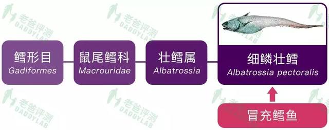 海鳕鱼的图片大全 2026年海鳕鱼怎么做好吃 海鳕鱼的图片大全 2026年海鳕鱼怎么做好吃