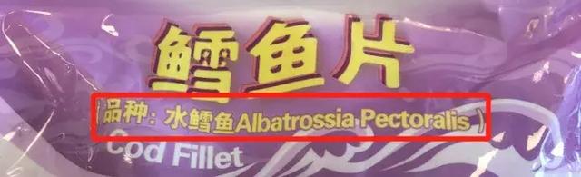 鳕鱼是啥样的图片 2026年鳕鱼是啥样的图片啊