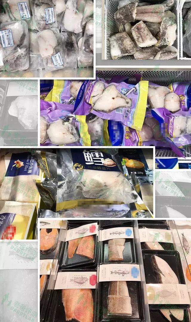 鳕鱼是啥样的图片 2026年鳕鱼是啥样的图片啊 鳕鱼是啥样的图片 2026年鳕鱼是啥样的图片啊