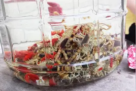 蝎子酒怎么泡才没有毒？农村小伙有秘方，滋补又健康