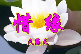 天籁天一首网络情歌《惜缘》好听醉人