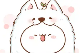 萨摩耶认错主人上错车引纷争！民警灵机一动，用这招辨出真主人图片