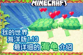 我的世界海洋版：最全最详细的海龟介绍，小小的海龟有这么多作用
