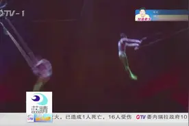 凤凰之珠国际大马戏团首次来青，惊险表演惊呼不断