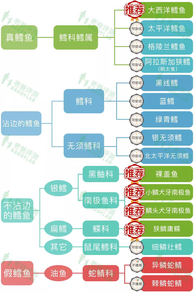 真鳕鱼图片大全 真鳕鱼图片大全高清
