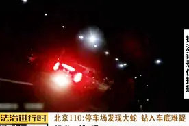 北京：1米长大蛇钻入私家轿车，吓坏车主视频封面