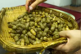 喜欢吃五香花生又难以保存？小妹教你一招，保证吃一年都不会坏