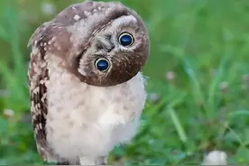 确认下眼神，你是不是社会人！2018上半年的网络热词你都懂了吗？图片