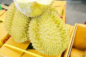 一只榴莲砸在头上会发生什么？今天算长见识了