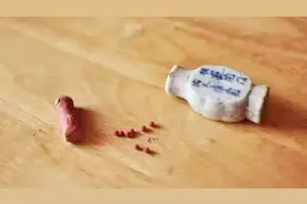 博物馆藏“长生不老丹”，24小时有人监控，真实效用让专家发凉