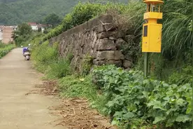 浙江磐安1农村，田里种着一大片的茭白，驱赶蚊虫全靠这种灯