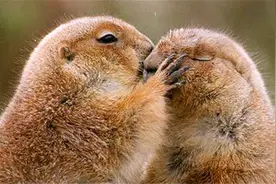 为什么很多人都讨厌在朋友圈秀恩爱的人？网友：秀恩爱散得快