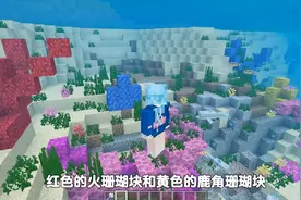 我的世界：珊瑚块还有这些冷知识？原来9年前就已经存在