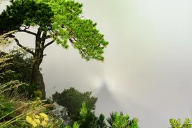 游览黄山风景区的小伙伴注意啦！九月起帐篷宿营须实名预约视频封面