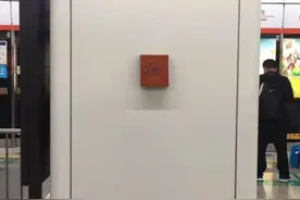 乱摁钮致杭州地铁隧道中停车 肇事男子被行拘图片