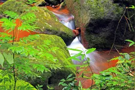 坐异性朋友的车时的时候，能坐在副驾驶吗？该如何选择