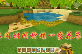 迷你世界：小风教你每种不同植物的种植方法