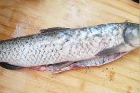 处理过的鱼难保存，别急！用上这个小技巧，放多久都新鲜！