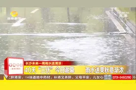 长沙：40天“三伏”26日谢幕 雨水送爽秋意渐浓视频封面