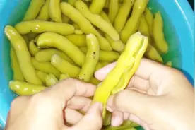 龙爪豆好吃，生吃会中毒，一定要这样处理，手把手教你煮狗儿豆