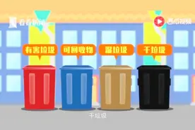垃圾分为4大种！分类标准又是什么呢？