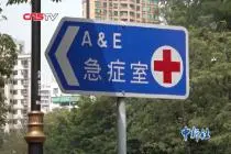 香港登革热个案增至27例 重灾区长洲岛进行全方位灭蚊行动