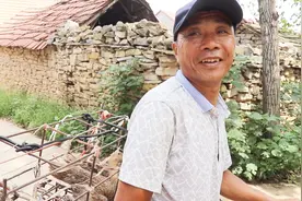 狗多少钱一斤？农村大叔说出价格，狗便宜，狗皮更便宜视频封面